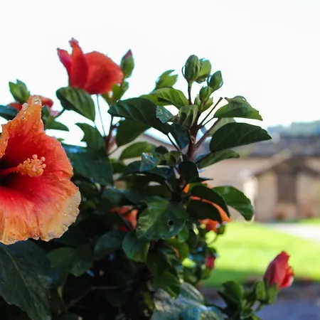 Antica Corte Casa Marini