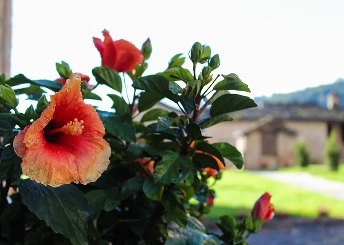 Antica Corte Casa Marini